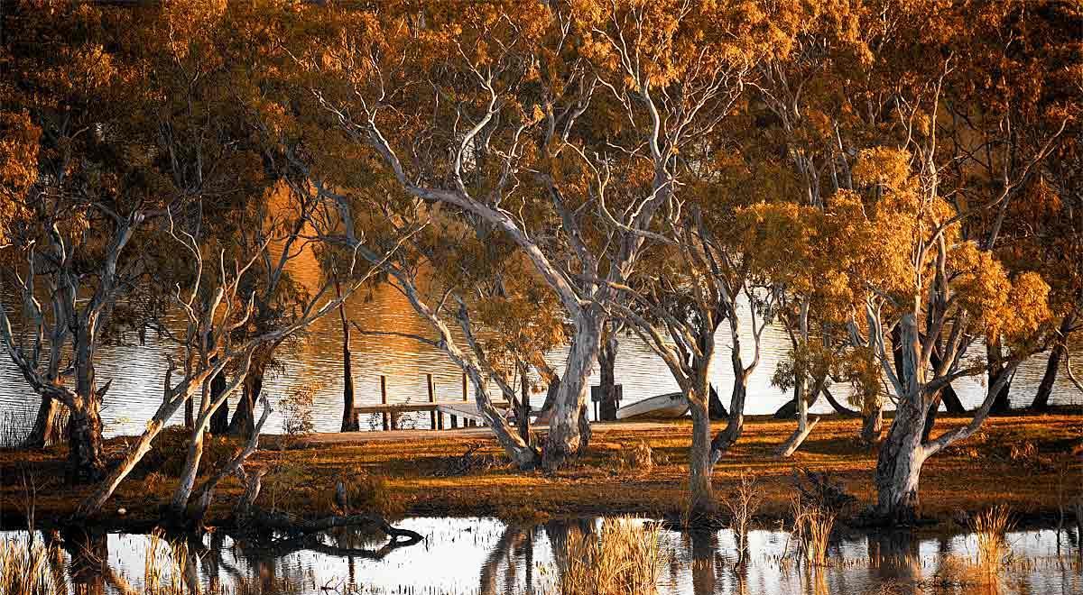 Riverview Rise Retreats Mannum Exterior foto